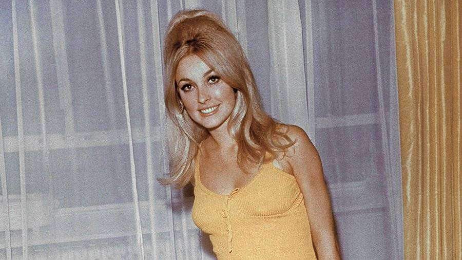 Шэрон Тейт (Sharon Tate): биография, фото - «Кино royaldschool8pk.ru»